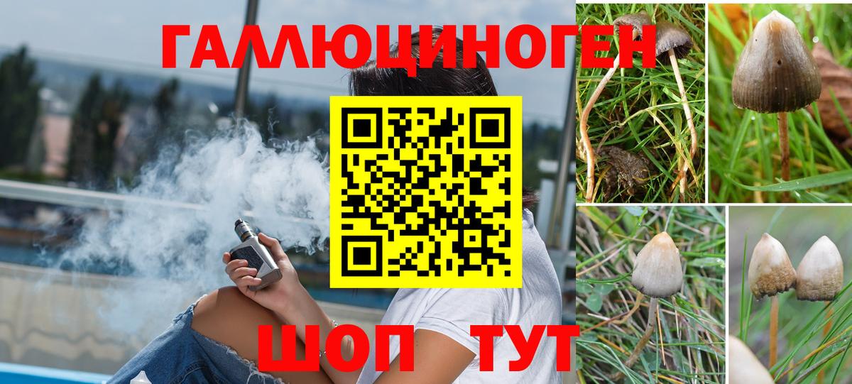 Зеленодольск  Галлюциногенные грибы Magic Shrooms  Вход с VPN  Галлюциногенные грибы прущие грибы 