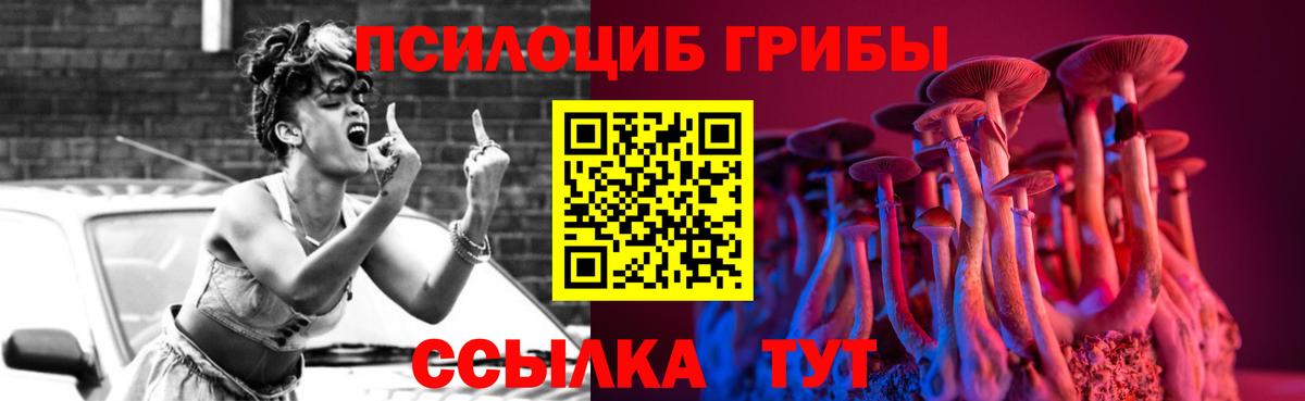 Галлюциногенные грибы Psilocybe Зеленодольск